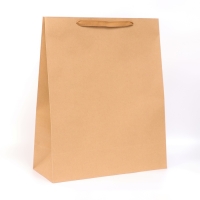 Пакет крафт без печати, 43.5 х 53 х 18 см 210 гр Пакет крафт без печати, 43.5 х 53 х 18 см 210 гр