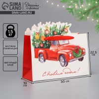 Пакет подарочный новогодний &laquo;Спешу к тебе&raquo;, 30 х 25 х 10 см, Новый год