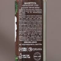 Подарочный набор косметики &laquo;Богатства и успеха&raquo;, гель для душа и шампунь для волос, 2 х 100 мл, Новый Год