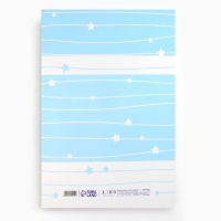 Папка для документов набор &laquo;Мои первые документы&raquo;, 23,5 х 31,3 см