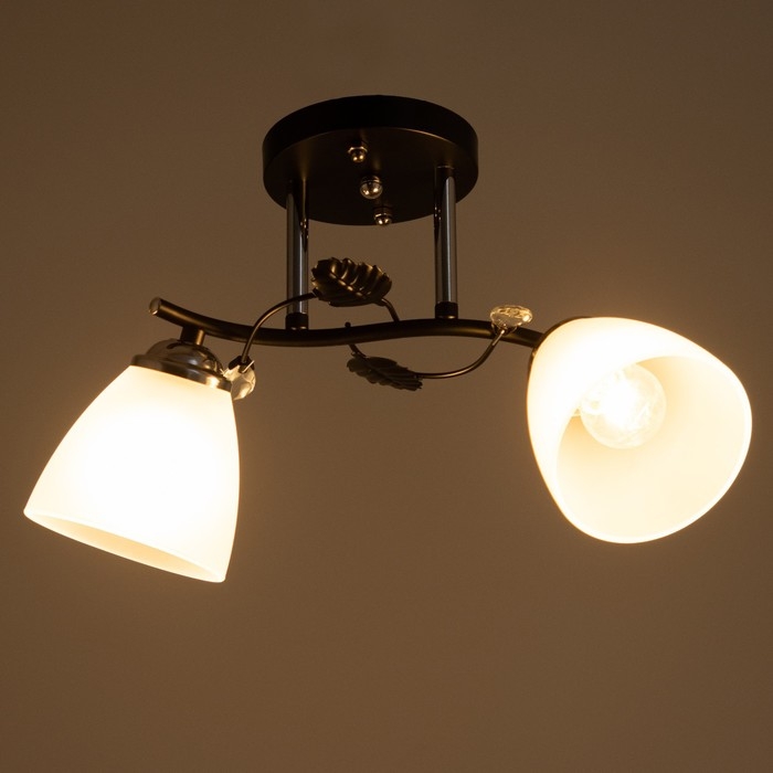 Люстра 2005/2 E27 60Вт черный+хром 44х26х25 см BayerLux