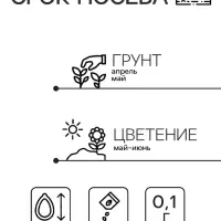 Семена цветов Иберис  "Cмесь", 0,1 г