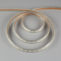 Светодиодная лента Ecola STD 14 &times; 7 мм, 50 м, IP68, SMD5050, 60 LED/м, 14.4 Вт/м, 220 В, 6000К
