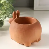 Подставка для мелочей &laquo;Медоед&raquo; 8&times;10&times;8 см, коричневый, гипс