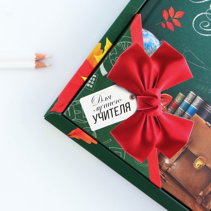 Подарочный набор &laquo;Учителю: Спасибо за знания&raquo;: ежедневник и ручка-колокольчик
