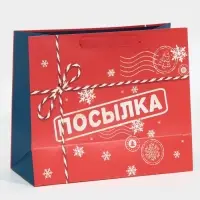 Пакет подарочный новогодний ламинированный &laquo;Посылка для тебя&raquo;, MS 18 х 23 х 10 см
