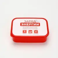 Ланч - бокс &laquo;Заряд энергии&raquo;, 1200 мл