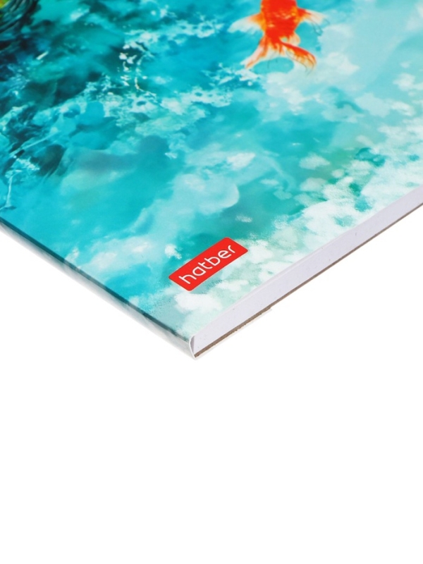 Альбом для рисования, А4 20 листов, Hatber «Золотые рыбки» белые листы Альбом для рисования, А4 20 листов, Hatber «Золотые рыбки» белые листы