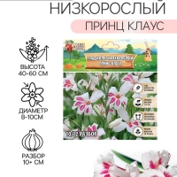 Гладиолус Низкорослый &laquo;Принц Клаус&raquo;, луковица цветов в пакете с перфорацией, р-р 10+, 7 шт.