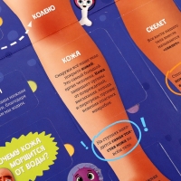 Книга - раскладушка детская &laquo;Как устроено моё тело&raquo;, 40 окошек