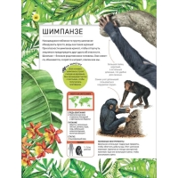 Энциклопедия «Удивительные животные» Энциклопедия «Удивительные животные»