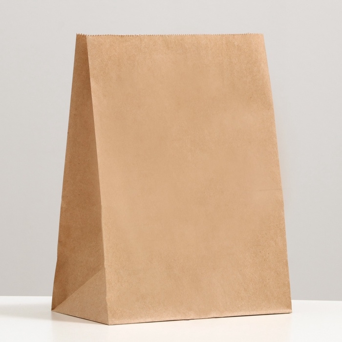 Пакет крафтовый, бумажный, фасовочный, прямоугольное дно, 20 шт., 22 х 12 х 29 см, 70 г/м2