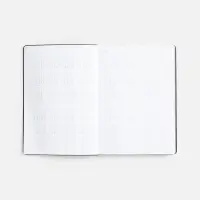 Ежедневник Nebraska Flex, недатированный, бордовый с золотистым