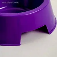 Миска пластиковая 17 х 17 х 5 см, 400 мл, фиолетовая