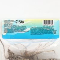 Хоста &laquo;Патриот&raquo;, корневище в пакете с торфогрунтом, р-р I, 1 шт.