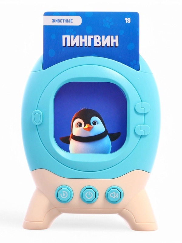 Обучающий набор с карточками, русская озвучка, 60 карточек