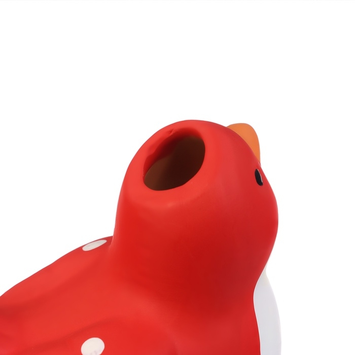 Ороситель &laquo;Птичка&raquo;, 16.5&times;8.5см, цвет МИКС, набор 4 шт.