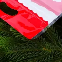 Пакет подарочный, с zip-lock застежкой, "Дед Мороз", 15х23 &plusmn; 1см.