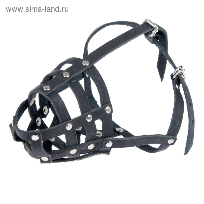 Намордник кожаный Зооник №С, стаффорд (длина по носу 9,5 см, обхват морды 32 см), микс Намордник кожаный Зооник №С, стаффорд (длина по носу 9,5 см, обхват морды 32 см), микс