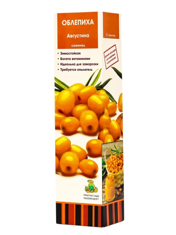Облепиха "Августина", туба, 1 шт, Весна 2025