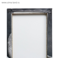 Картина модульная на подрамнике "Лебеди в ночи" 2шт-25х50, 1шт-30х60 ;60*80 см