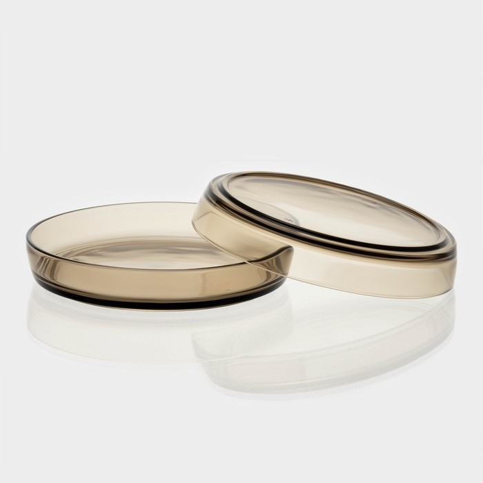 Набор стеклянных тарелок &laquo;Дымка&raquo;, 5 предметов: 2 тарелки d=18,3 см, 3 тарелки d=19,8 см