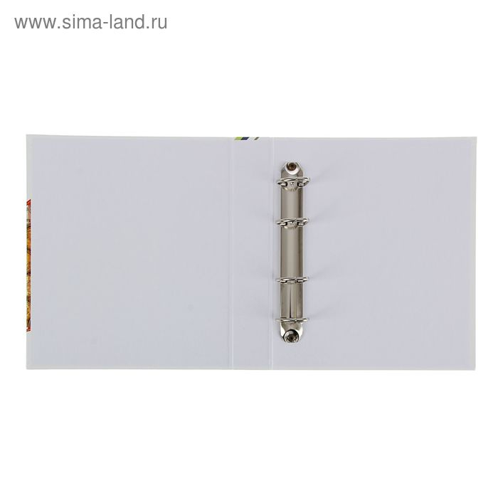 Альбом для монет Альбом для монет "Современные монеты", 230 х 270 мм, Optima, без листов