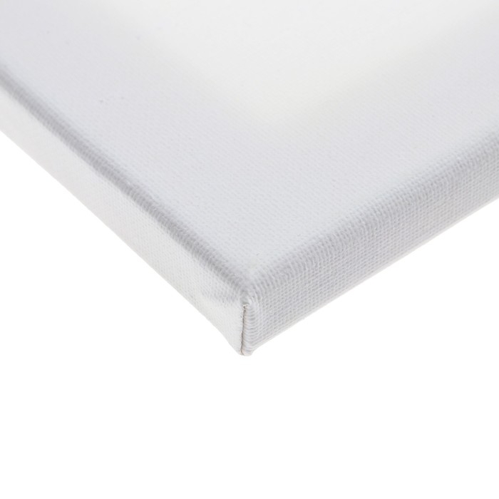 Холст на подрамнике 1,6х80х100 см, хлопок 100%, акриловый грунт, мелкозернистый, 280г/м&sup2;