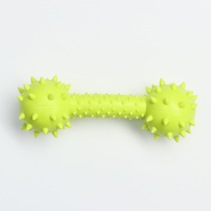 Игрушка жевательная Игрушка жевательная "Грозная гантель", 15 х 5 см, салатовая