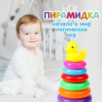 Пирамидка &laquo;Уточка&raquo;, 7 колец