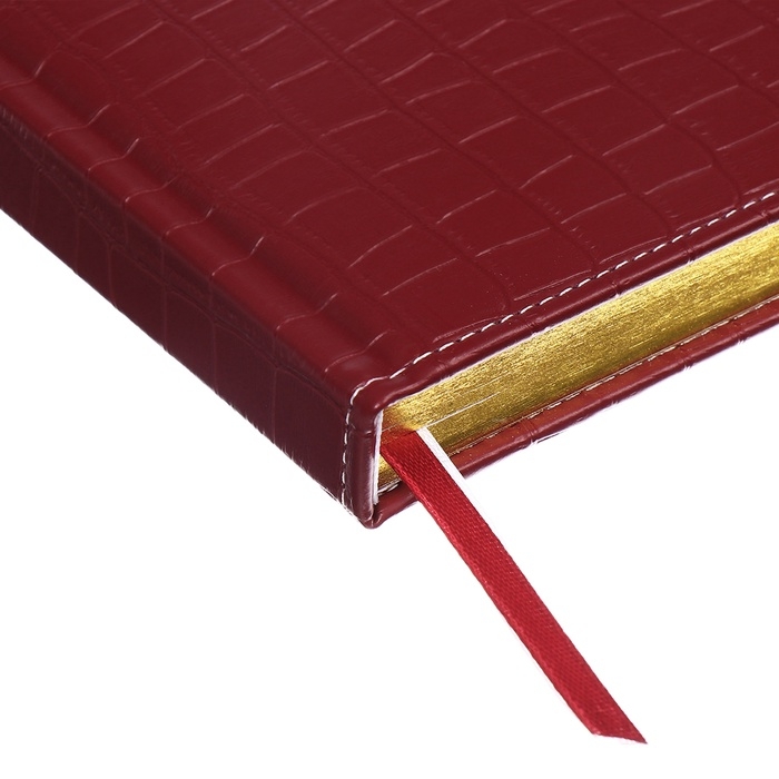 Ежедневник датированный 2025 B6 168 листов, deVENTE. Wild, твердая обложка кожзам с поролоном, перфорация, ляссе, блок 70, бордо Ежедневник датированный 2025 B6 168 листов, deVENTE. Wild, твердая обложка кожзам с поролоном, перфорация, ляссе, блок 70, бордо