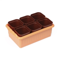 Набор для рассады: стаканы по 250 мл (6 шт.), контейнер 24 &times; 16 см, МИКС