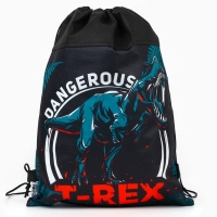 Мешок для обуви &laquo;1 сентября: T-REX динозавр&raquo; нетканное полотно, размер 30 х 40 см