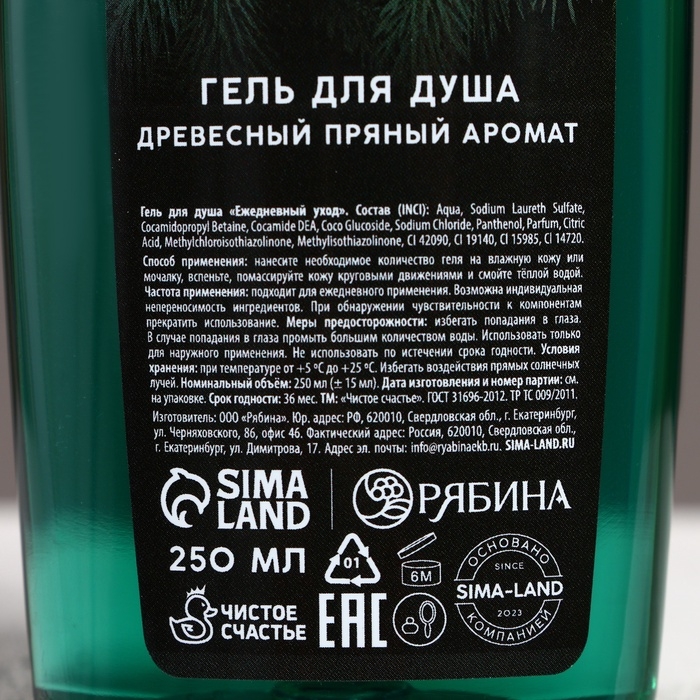 Подарочный набор косметики &laquo;Самому лучшему мужчине в Новый Год&raquo;, гель для душа и шампунь для волос, 2 х 250 мл, ЧИСТОЕ СЧАСТЬЕ