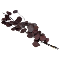 Сухоцвет персикого дерева, 50 г, длина &mdash; 70 см, цвет фиолетовый