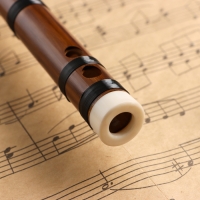 Флейта Music Life 48 см, бамбук, тональность E Флейта Music Life 48 см, бамбук, тональность E