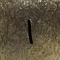 Копилка "Золотая картошка" 17см