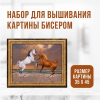 Набор для вышивания картины бисером "Лошади" ZX3006 Набор для вышивания картины бисером "Лошади" ZX3006