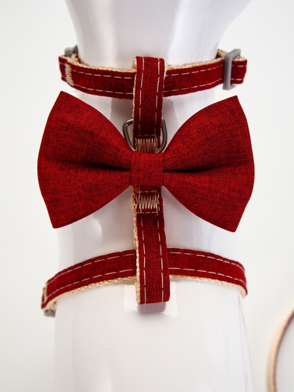 Комплект амуниции "Шахматный джентельмен", поводок 120 х 1 см, красный