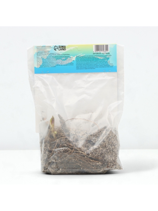 Флокс &laquo;Хербствальцер&raquo; корневище в пакете с торфогрунтом, р-р I, 2 шт.