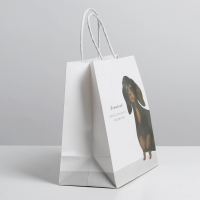 Пакет подарочный, упаковка, &laquo;Пирожочек&raquo;, 22 х 22 х 11 см