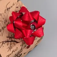 Бант - звезда №7.5, фасовка 8 шт., с блестками, МИКС