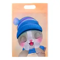 Пакет подарочный, с zip-lock застежкой, "Зимние котята", 15х22см.