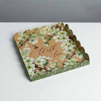 Коробка для печенья, кондитерская упаковка с PVC крышкой, &laquo;Пчёлка&raquo;, 21 х 21 х 3 см