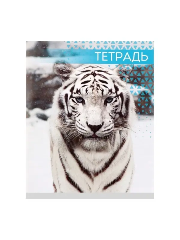 Тетрадь 48 листов в клетку, Calligrata &laquo;Дикие кошки&raquo;, обложка мелованная бумага, МИКС