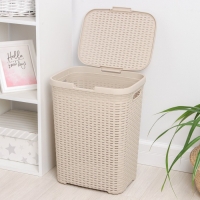 Корзина бельевая с крышкой &laquo;Ротанг&raquo;, 40 л, 37&times;29,5&times;48 см, цвет латте