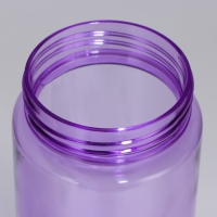 Бутылка для воды &laquo;Медведи&raquo;, 600 мл