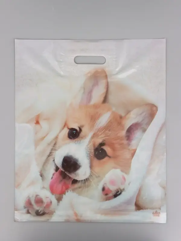 Пакет подарочный Малыш Веня  45 х 38 см 55 мкм