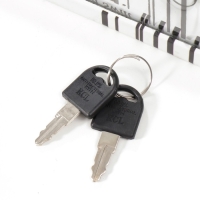 Сейф-книга дерево кожзам, зеркало "Зебра" 30х21х7 см