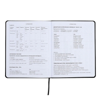 Дневник универсальный для 1-11 класса Anime Comix, интегральная обложка, искусственная кожа, шелкография, ляссе, 80 г/м2